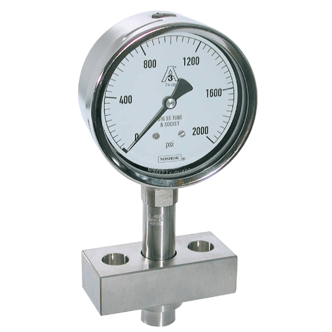 Noshok Homogenizer Sanitary Pressure Gauge, 20 Series